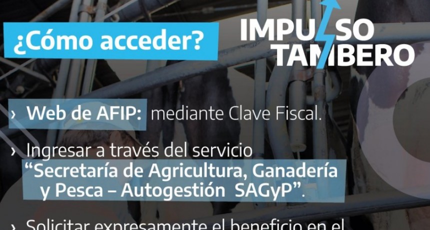 Implementan Programa de Asistencia al Sector Tambero