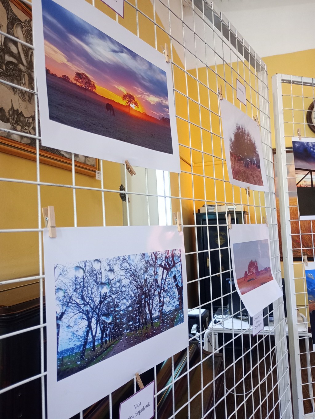 Muestra fotográfica “Instantes” 