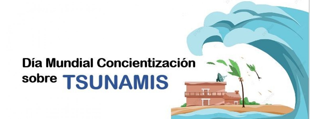 Día Mundial para tomar conciencia sobre los Tsunamis.