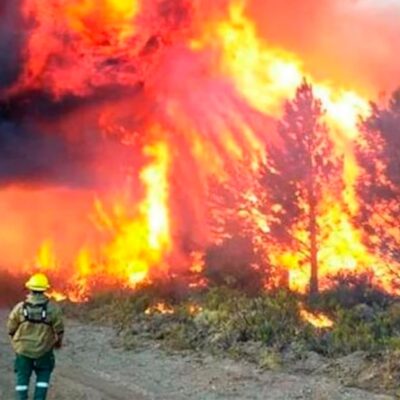 Los incendios en la Patagonia se cuelan en la agenda del Congreso