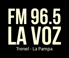 TRENEL: EL CASO DE UN PACIENTE CON ELA REABRE EL DEBATE SOBRE LA PROTECCIÓN A ENFERMEDADES DE LARGO TRATAMIENTO