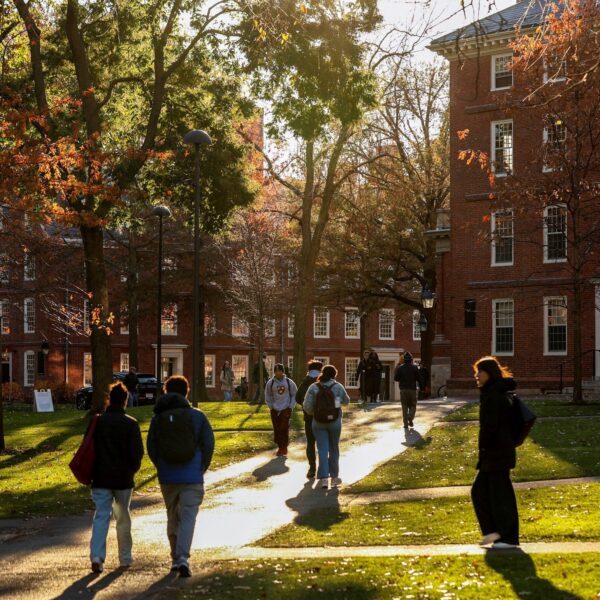 por qué Harvard advierte que cuanto más se usa, más cansancio mental genera